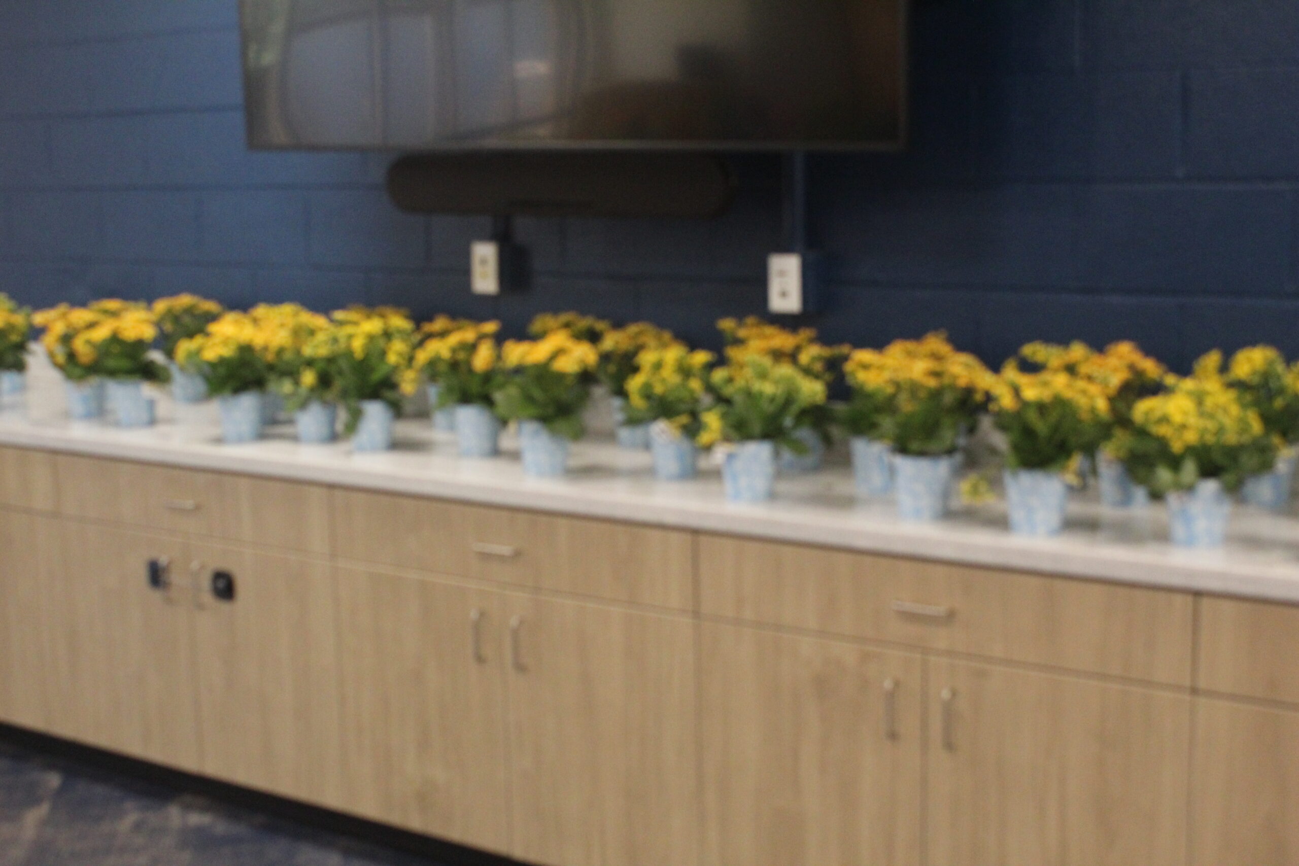 Easter celebration photo