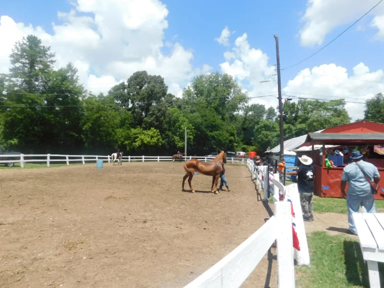 A horse stands in the sandy riding ring beside the white fence as families arrive at the carnival