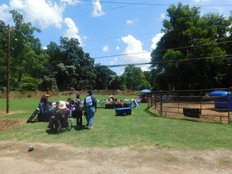 Families gather on the lawn beside the fenced games area