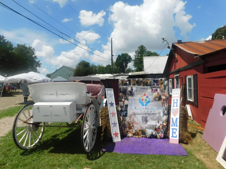 The white carriage parked beside the Know More Tears photo display