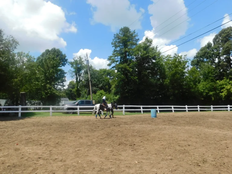 A rider and horse cross the sandy riding ring