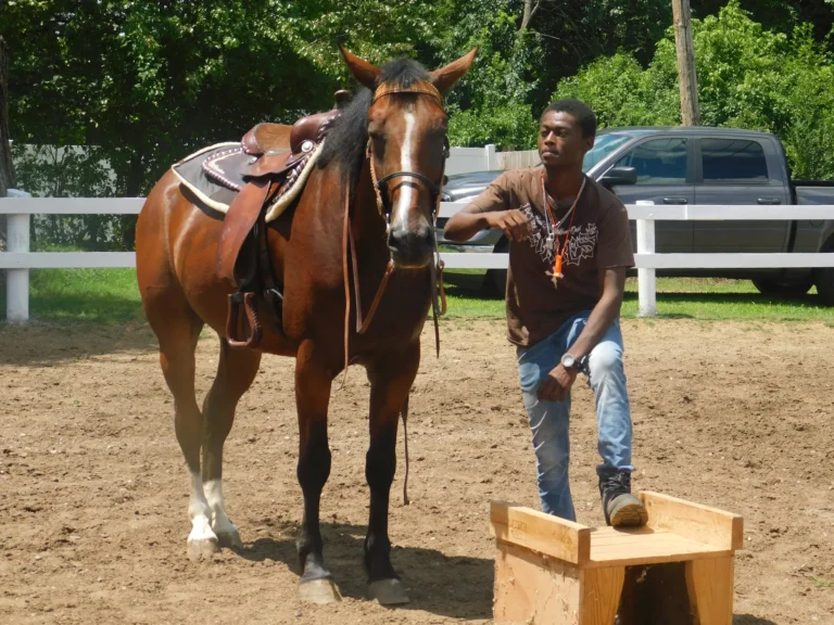 A handler walks a saddled horse across the riding ring