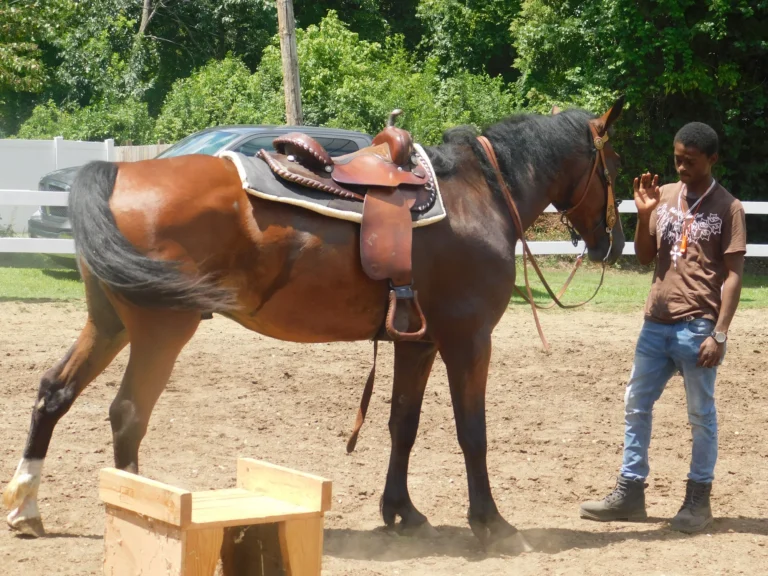 A saddled horse waits beside the mounting block