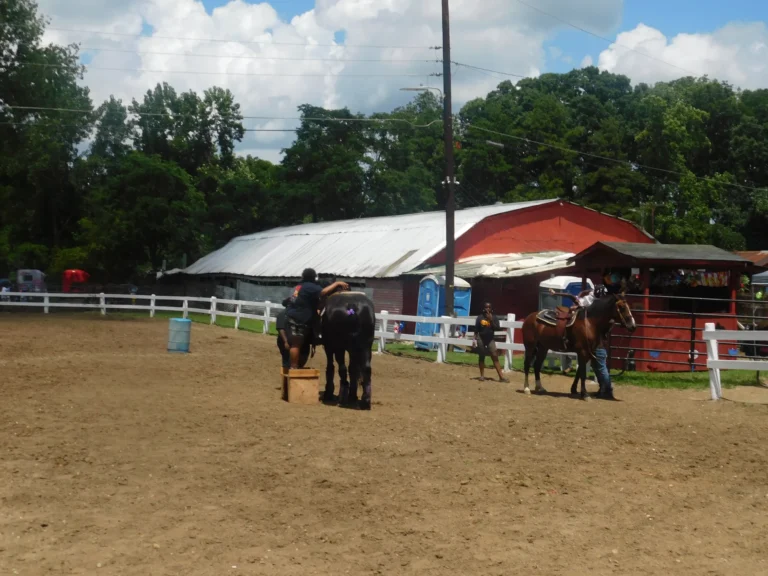 Horses and handlers wait by the barn at the riding ring